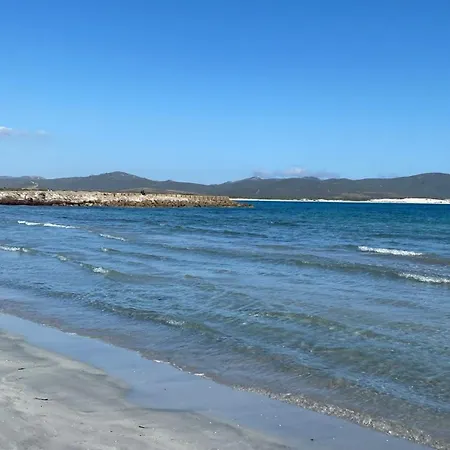 La Conchiglia
